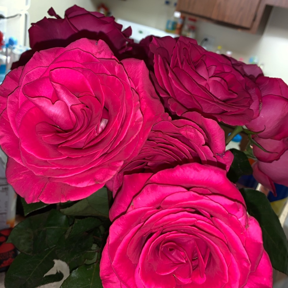 Meet your Posher, Brenda